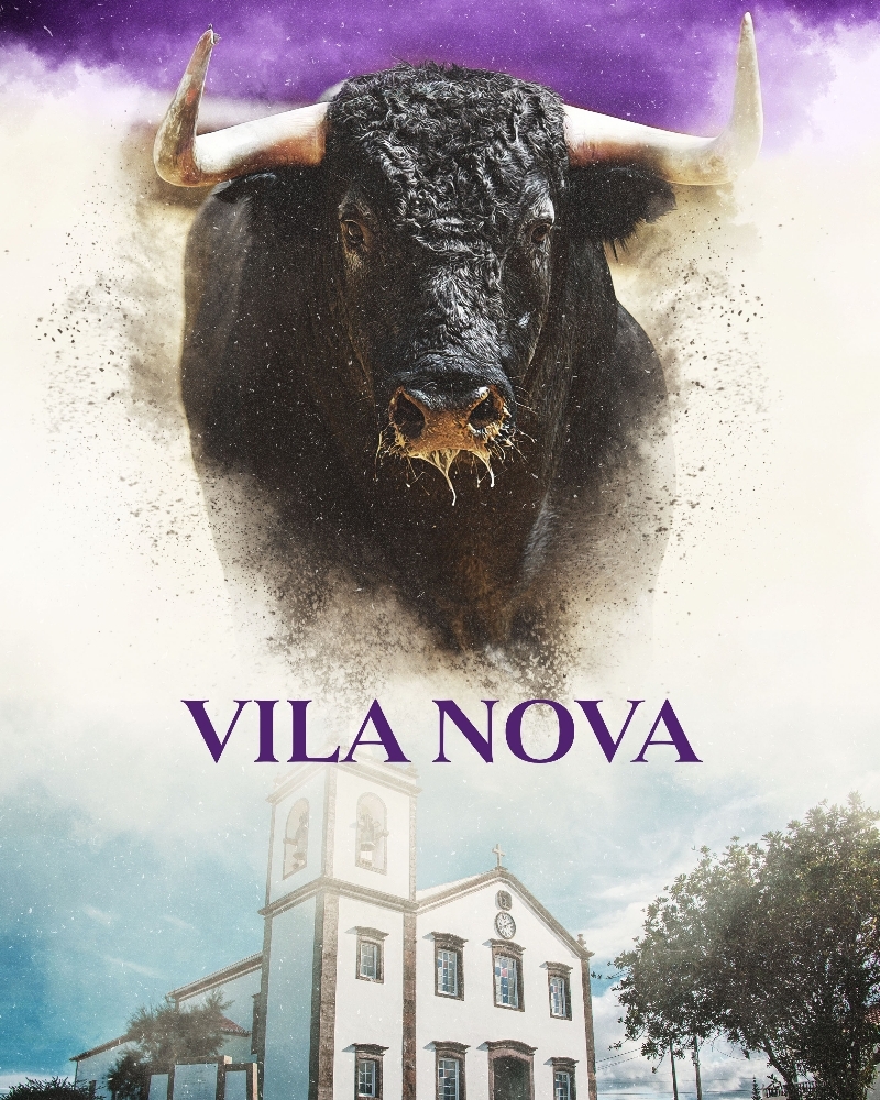 Tourada não tradicional