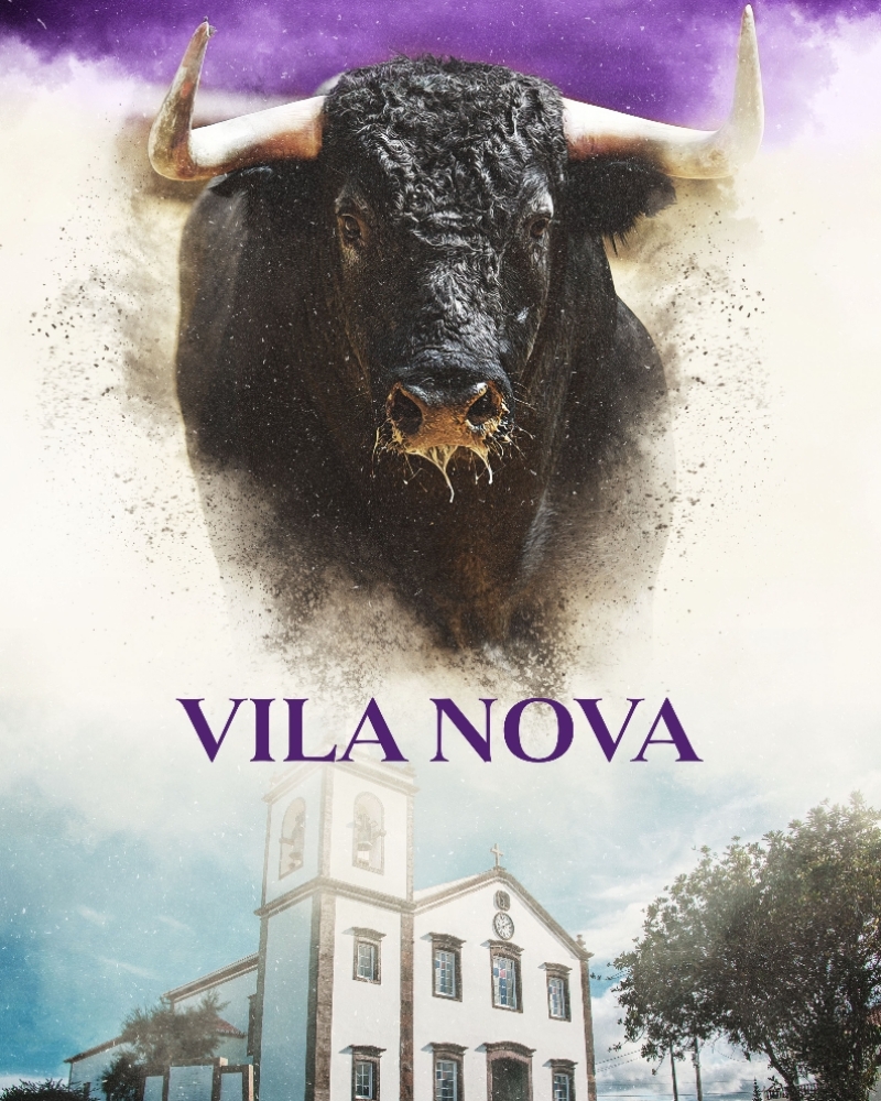 Tourada Tradicional