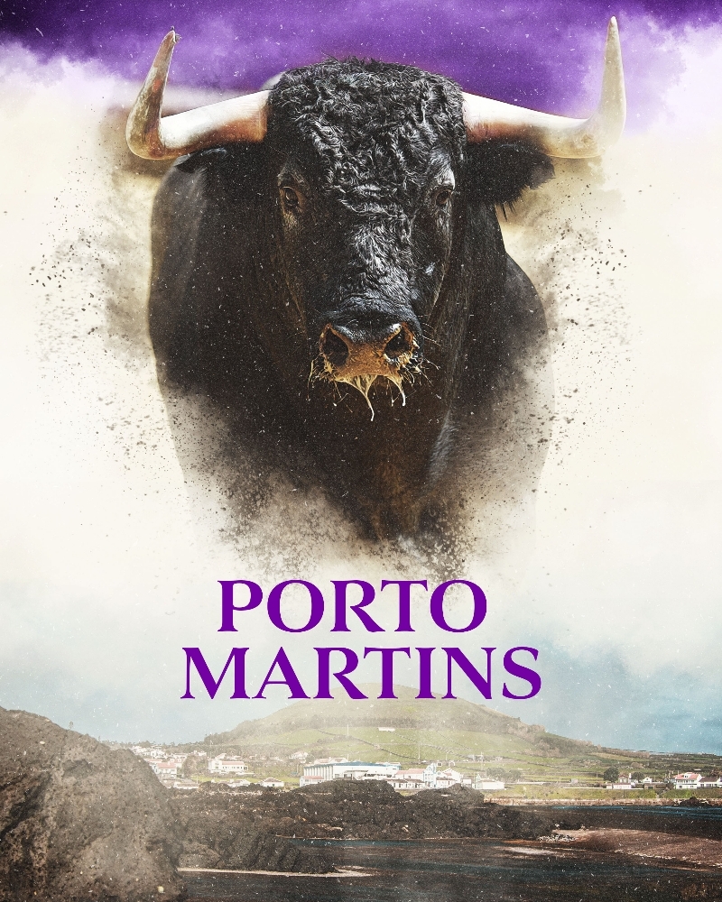 Tourada não tradicional