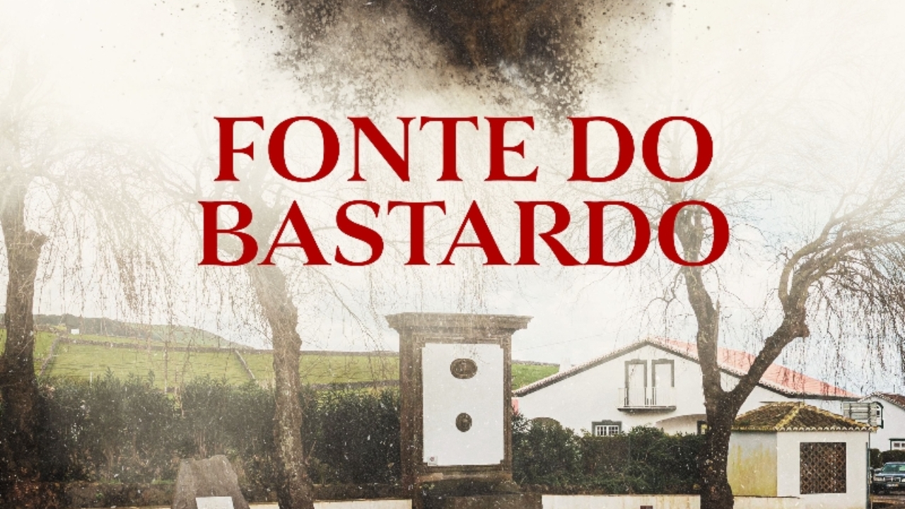 Tourada Tradicional
