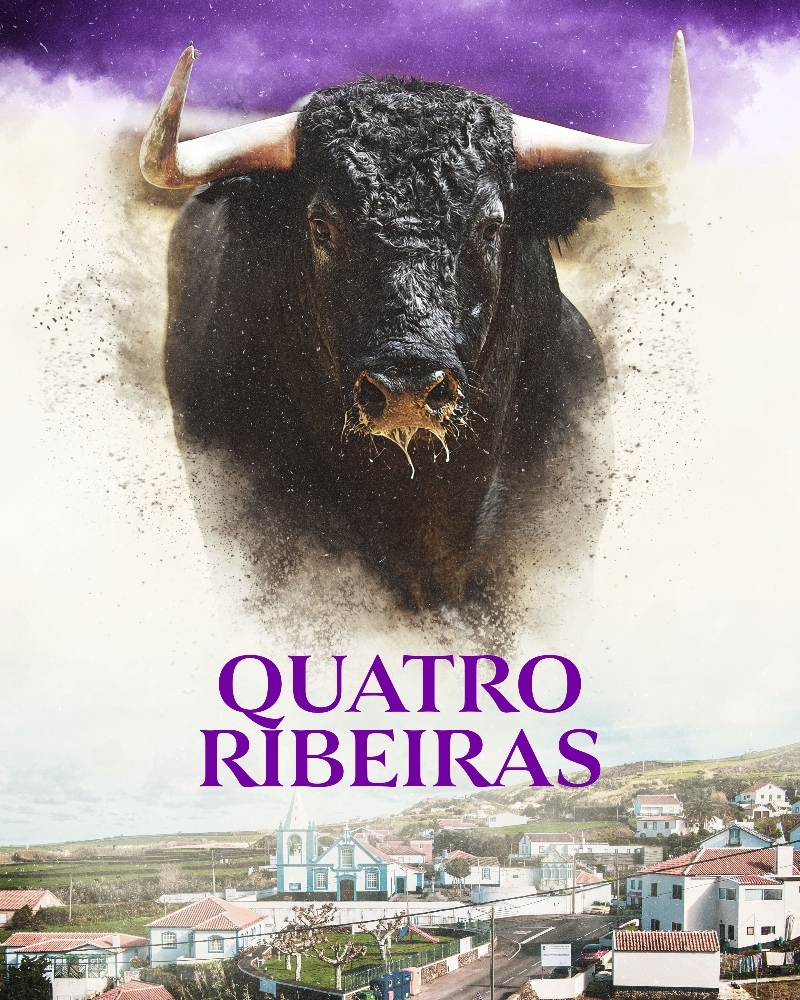 Tourada Tradicional