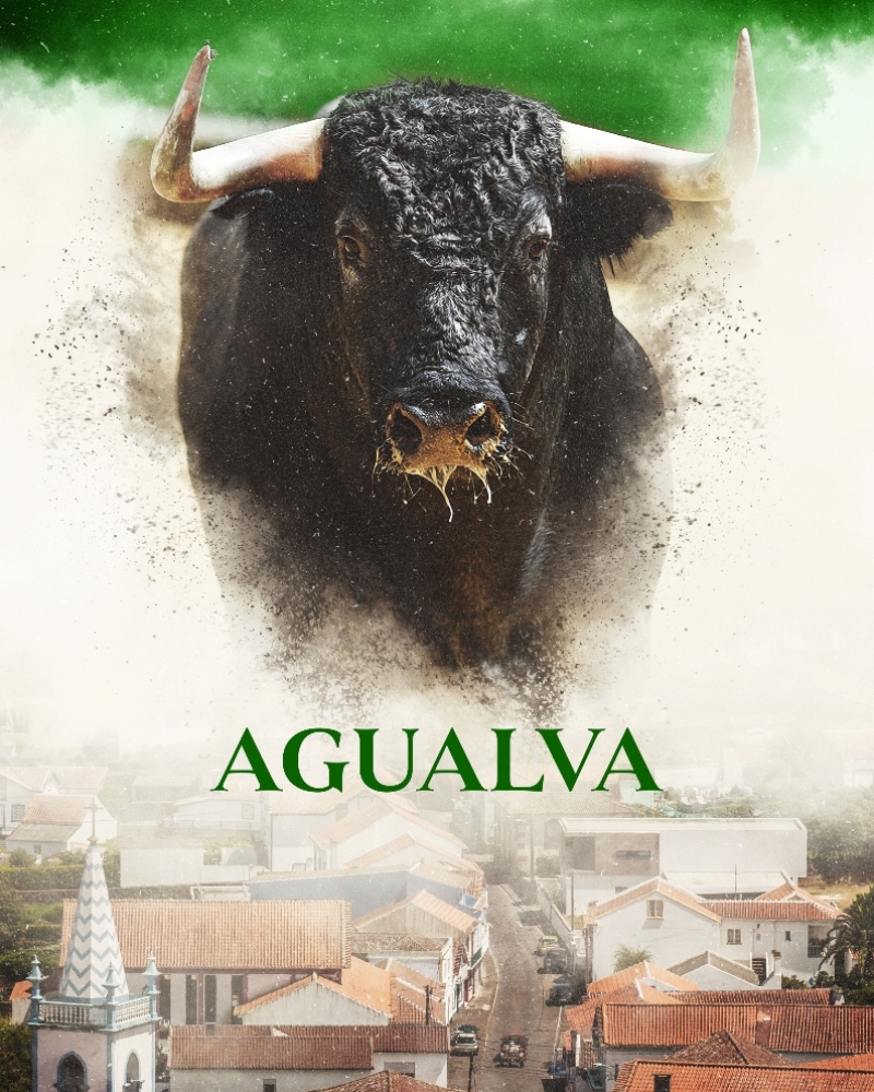 Tourada Tradicional