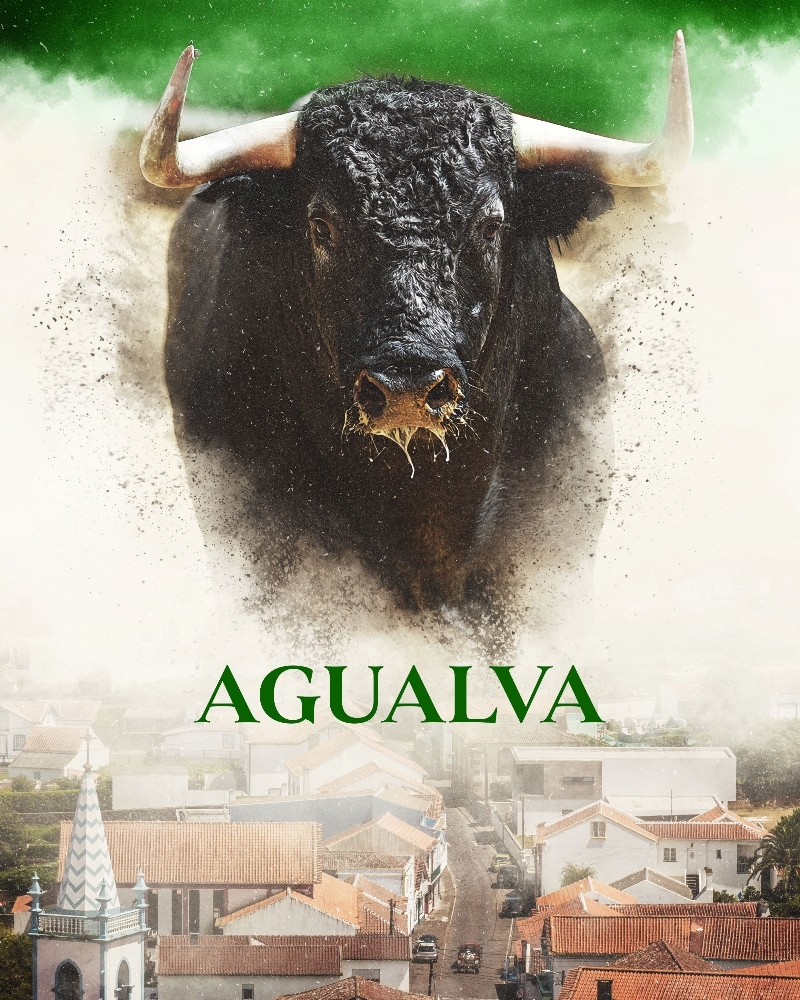 Tourada não tradicional