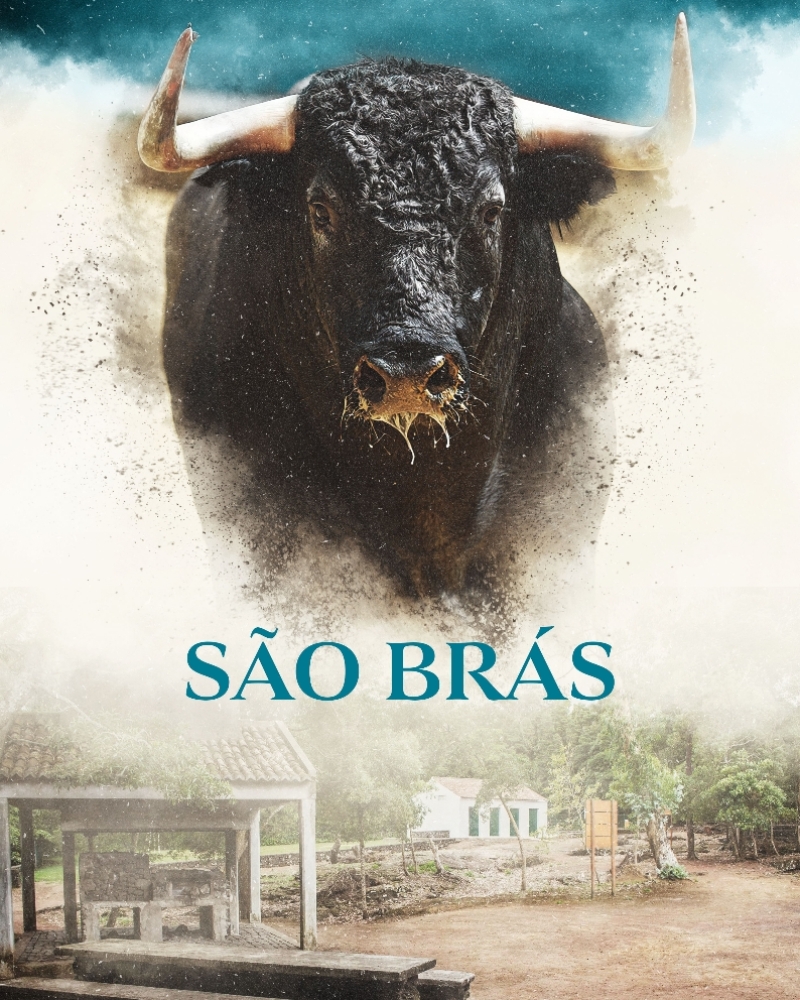 Tourada Tradicional