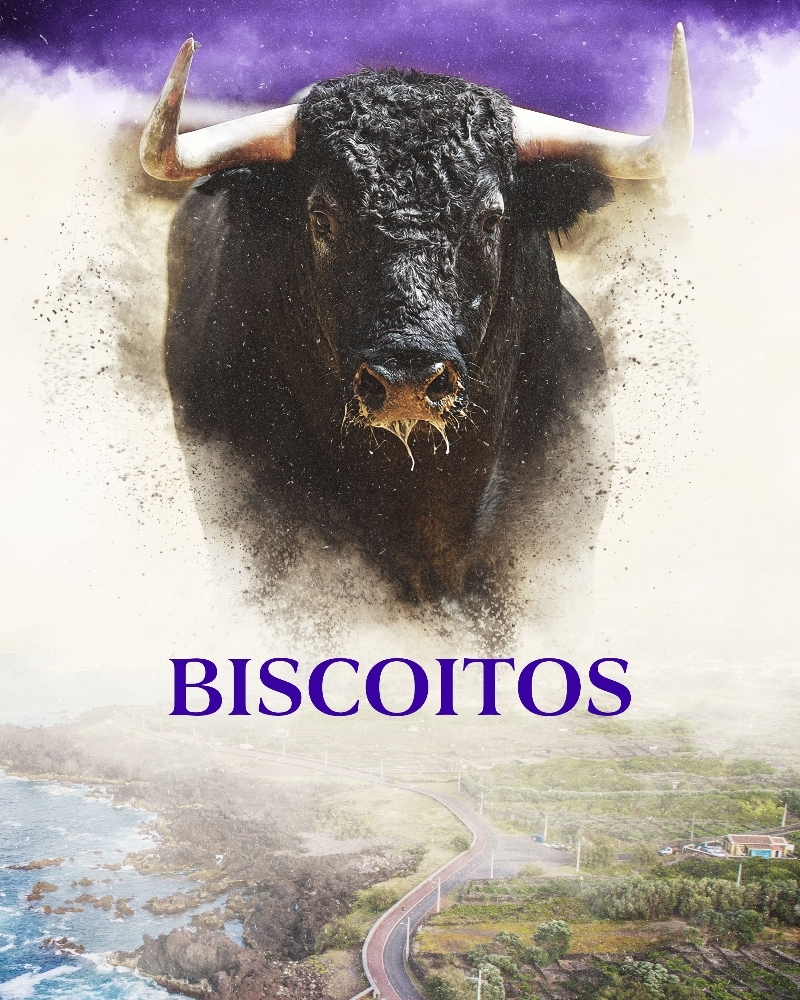 Tourada Tradicional