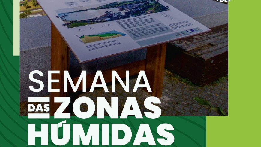 De 27 de janeiro a 02 de fevereiro, Município da Praia da Vitória promove Semana das Zonas Húmid